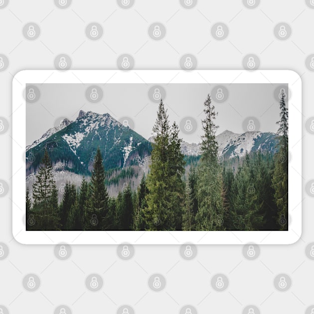 Tatra Mountains Sticker by Grumpy Bean